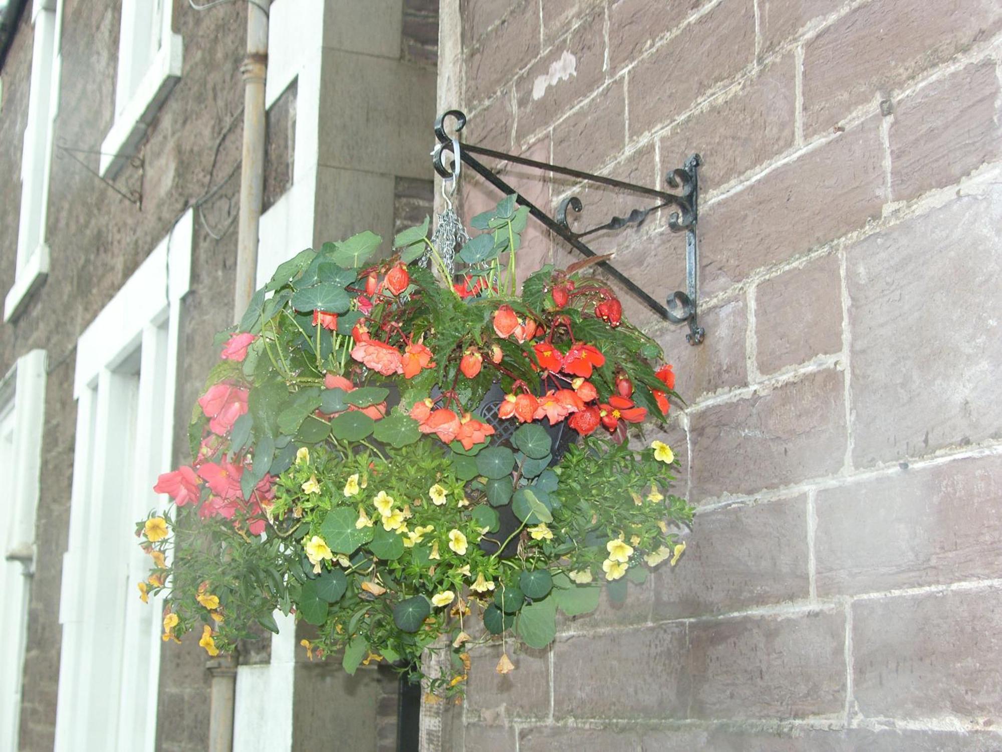 Comelybank Guesthouse Crieff Bagian luar foto